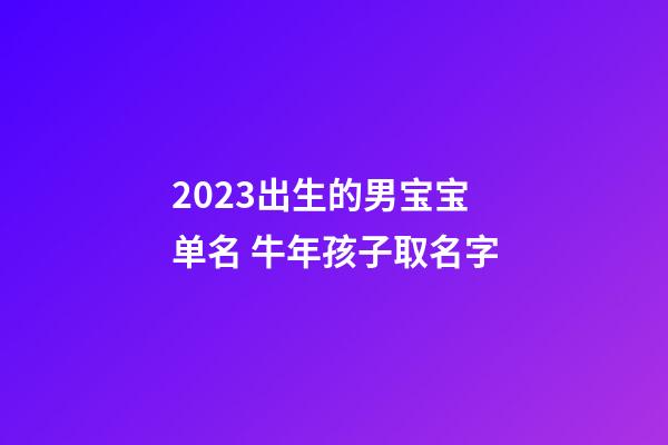 2023出生的男宝宝单名 牛年孩子取名字